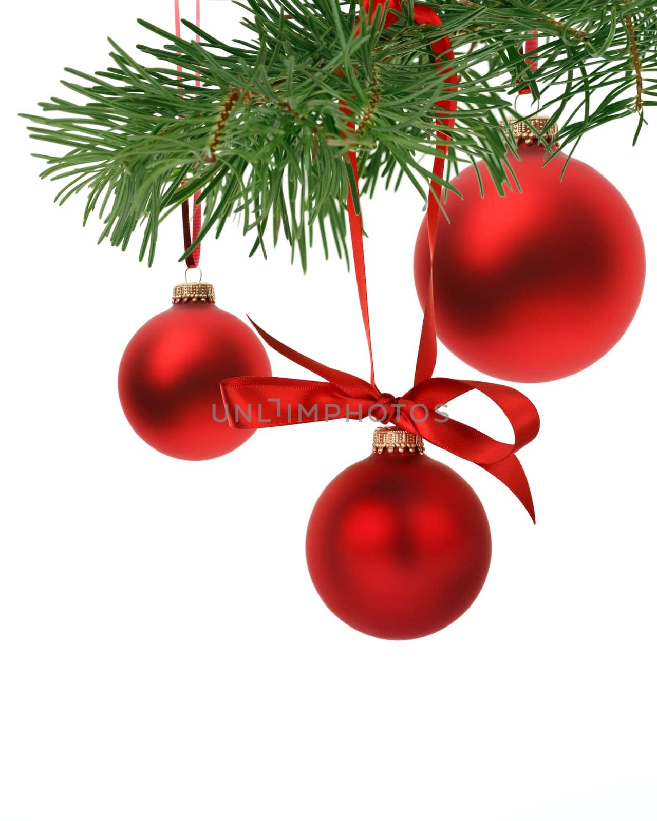 Christmas tree branch with ornaments