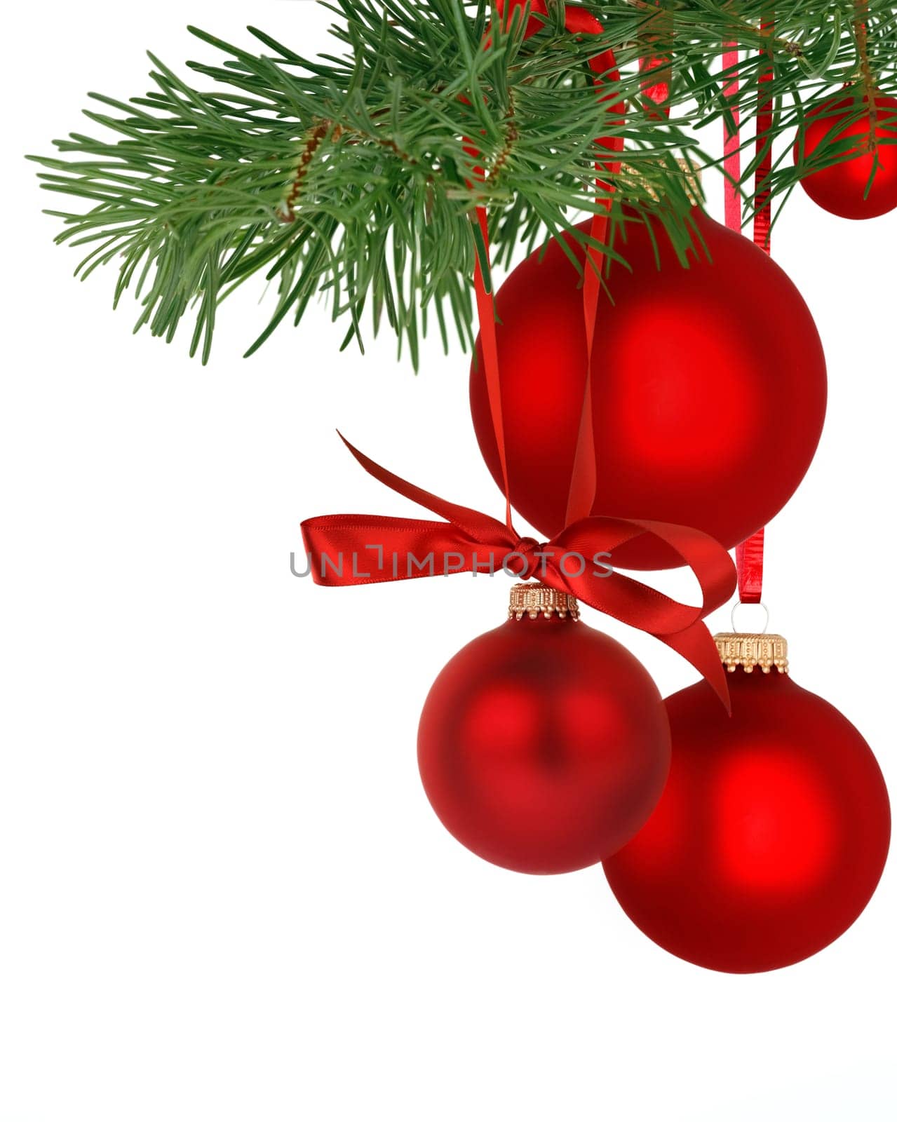 Christmas tree branch with ornaments