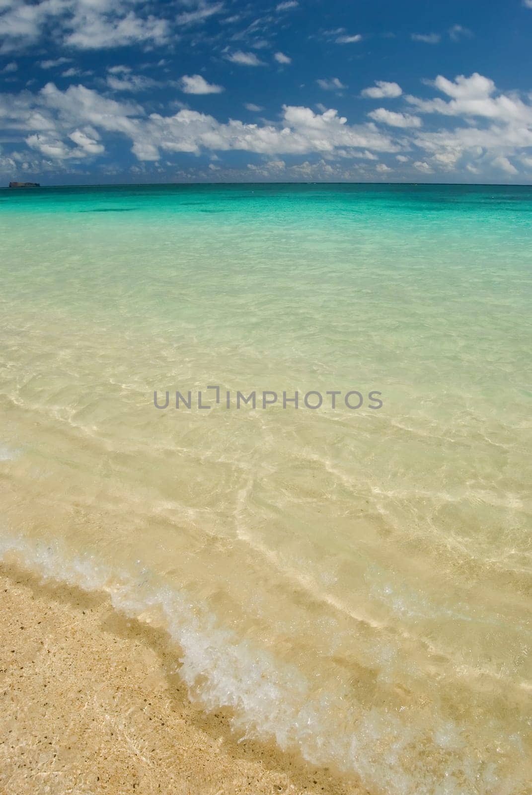 Image of a tropical beach with clear water and blue sky.