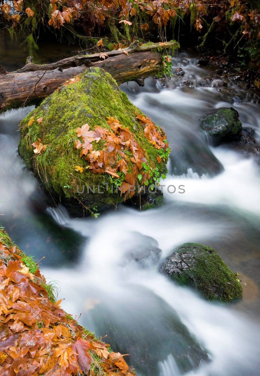 Water flows throughthe rocks during the fall in Munson Creek Oregon