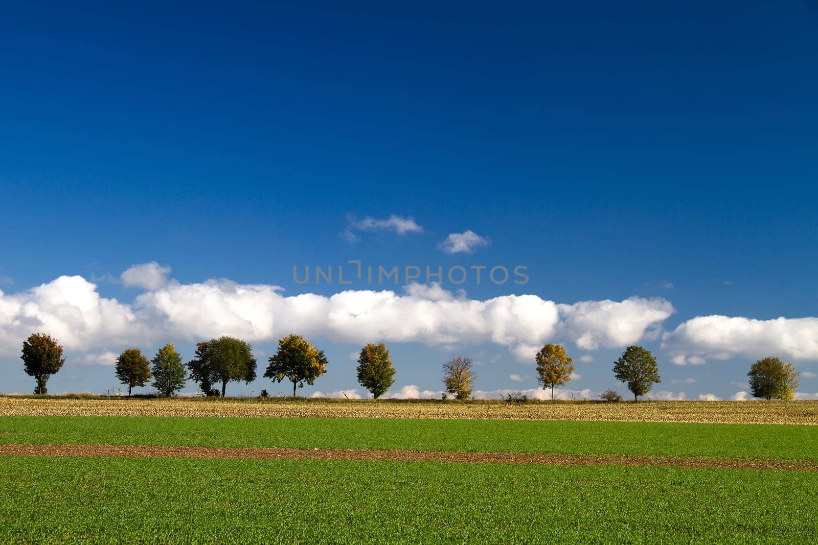 Cloudcap