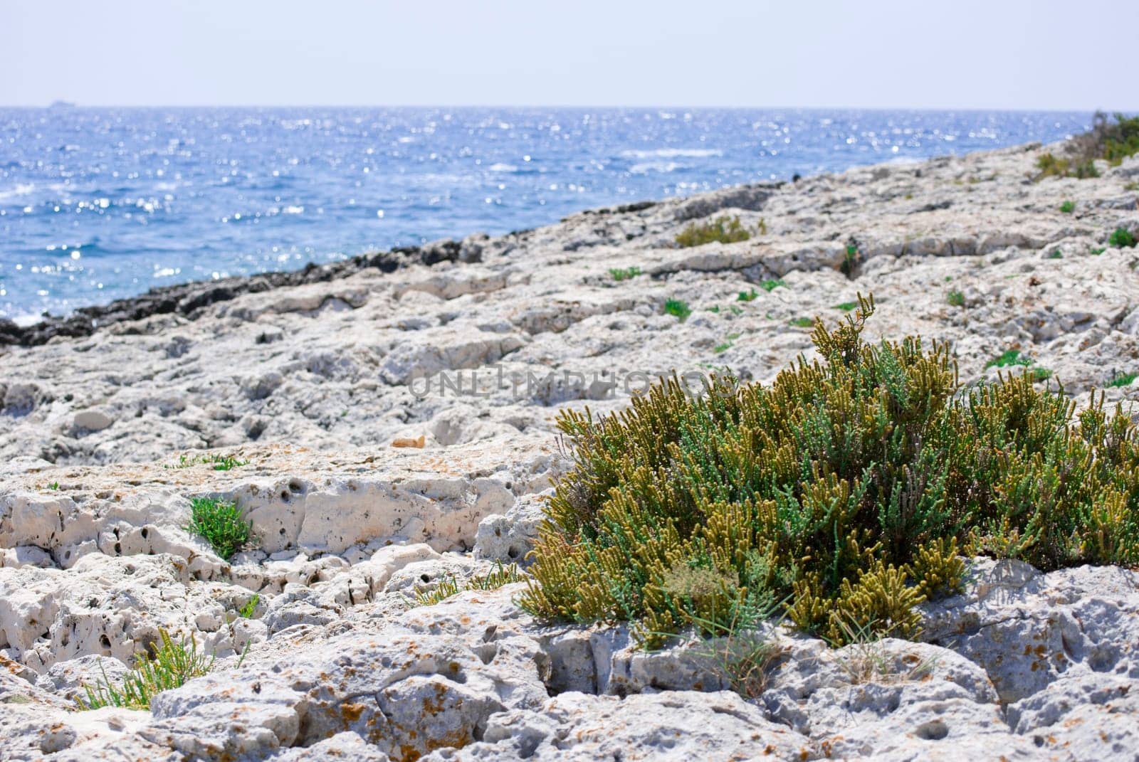 croatian stony beach