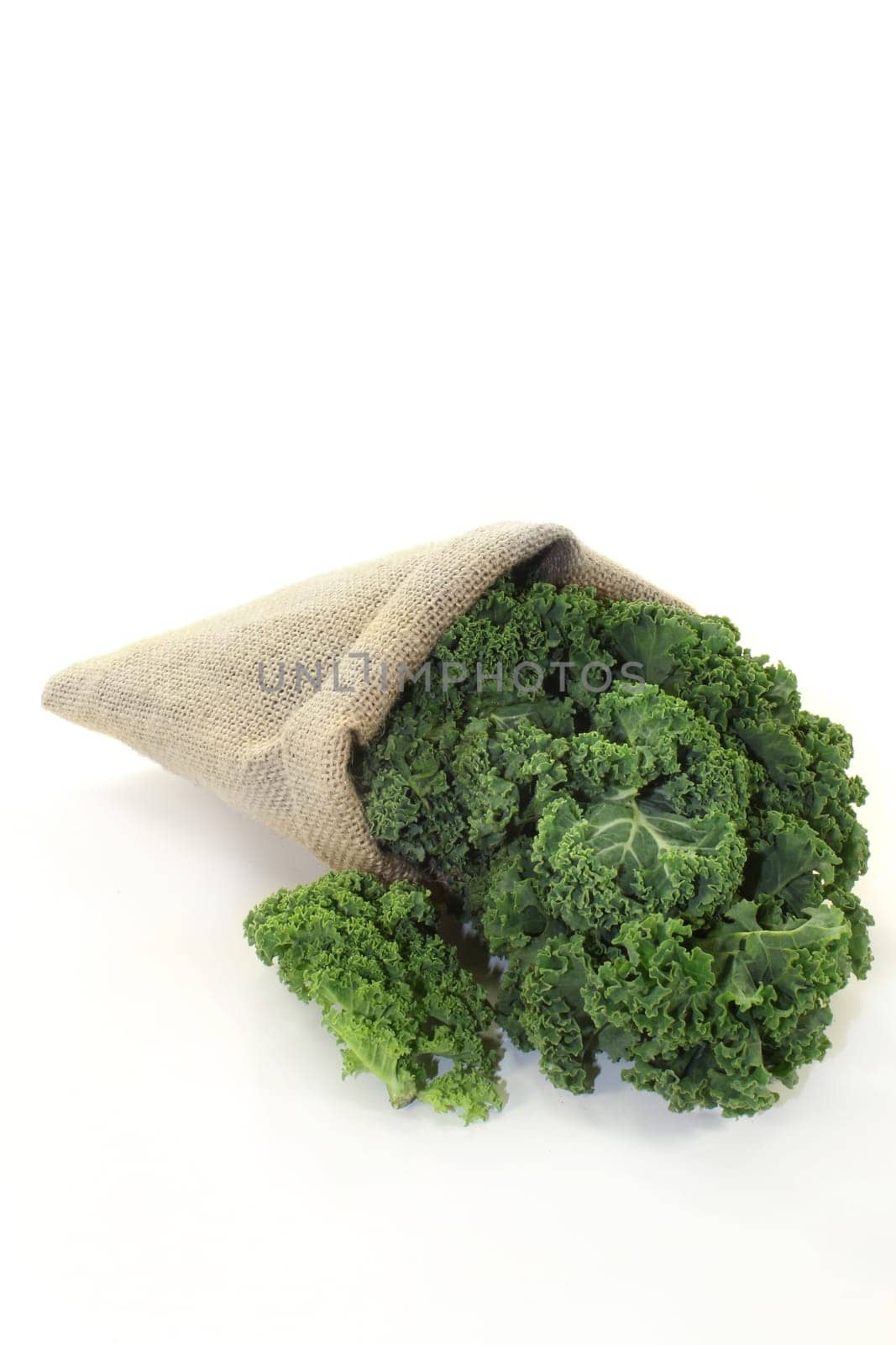 Fresh kale against white background