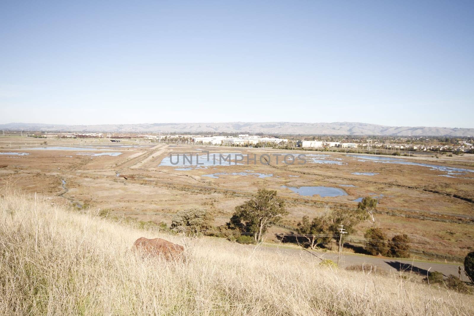 Don Edwards National Wildlife refuge