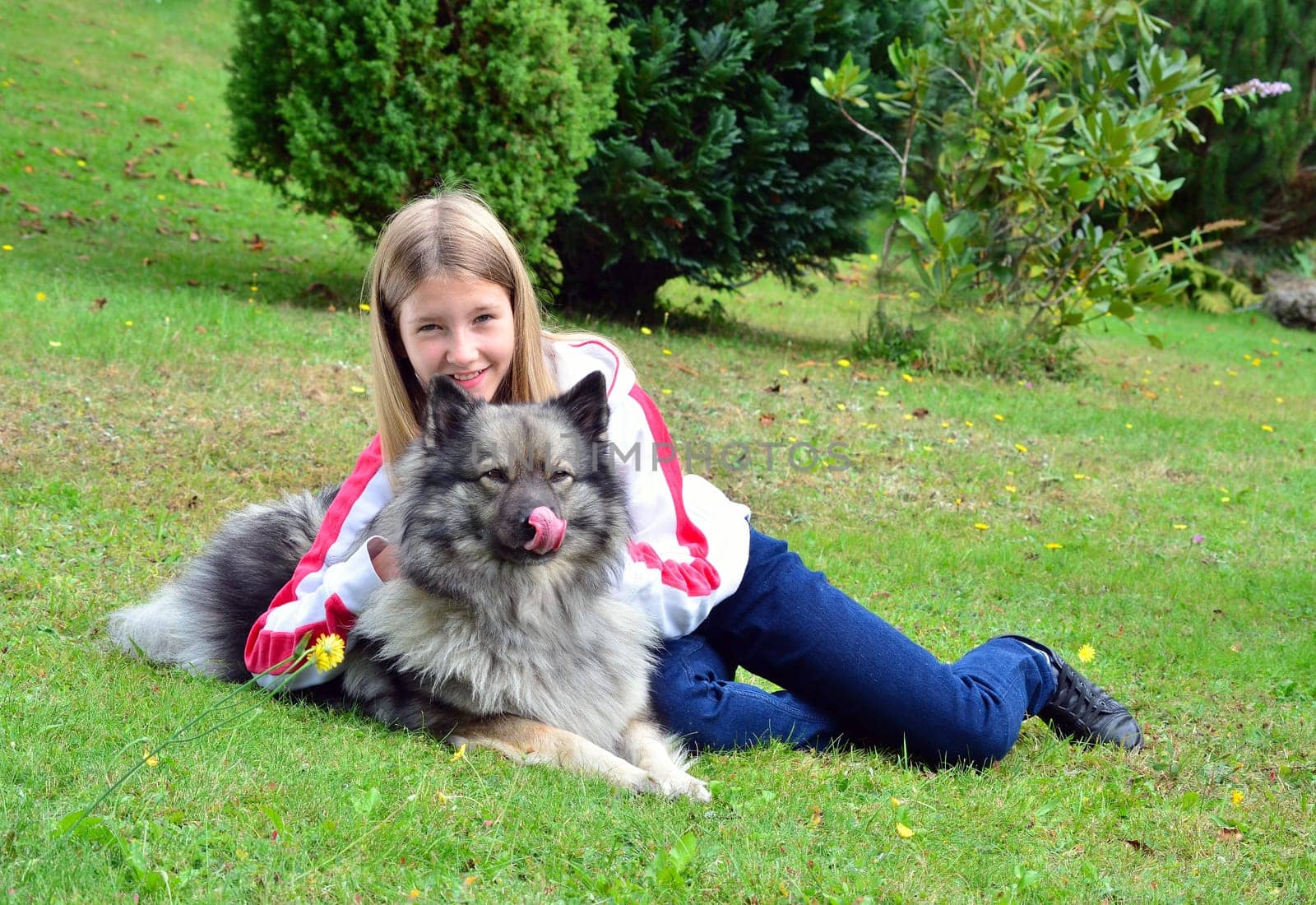 Child Dog Dog School