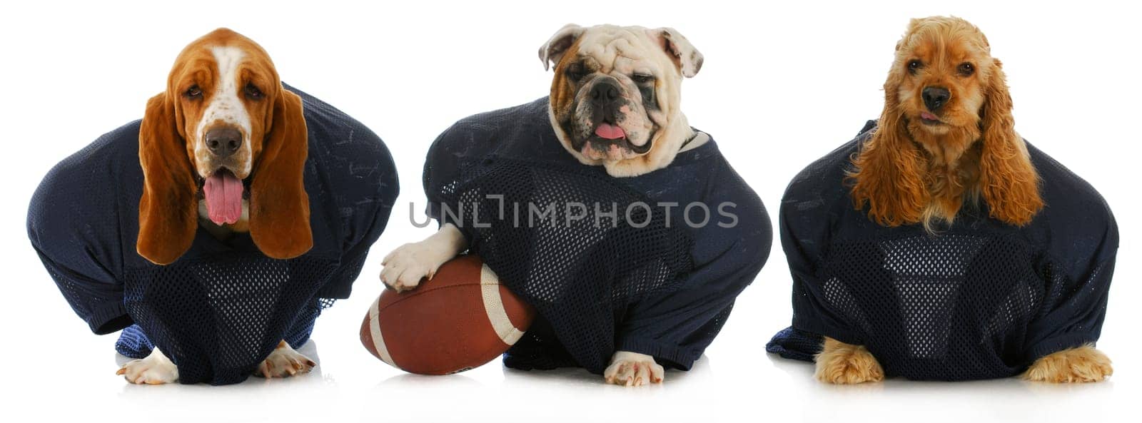 football team -