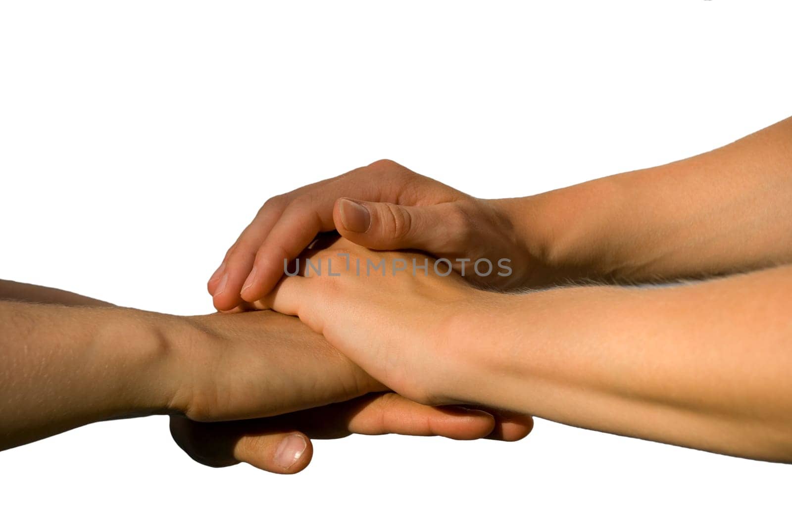 four hands symbolizing unity, power and teamwork, on white