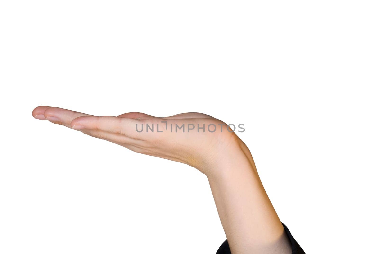 a hand offering copyspace, on white