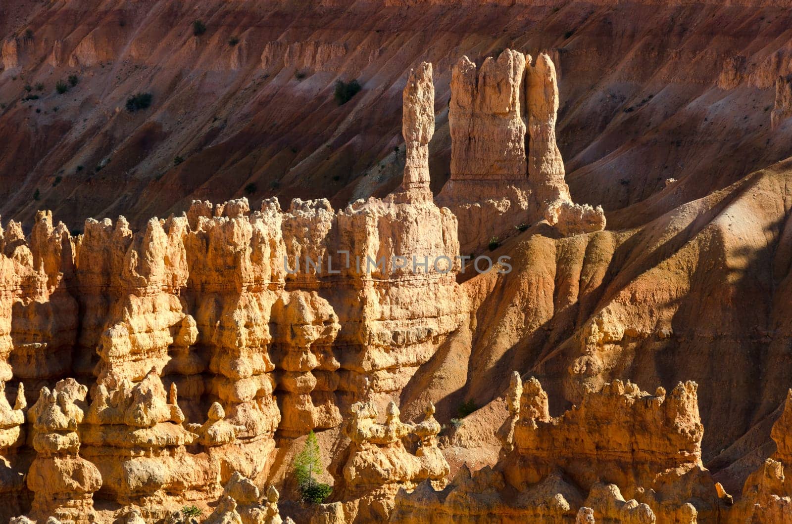 Bryce Canyon National Park in Utah in the United States of America