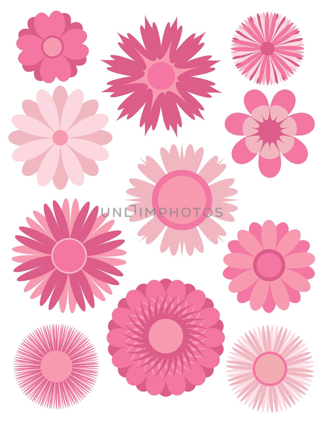 Spring Flowers Bloom Abstract in Shades of Pink Illustration Isolated on White Background