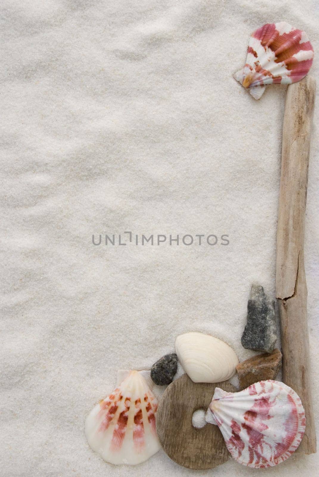 a holiday background with mussel and sand and driftwood