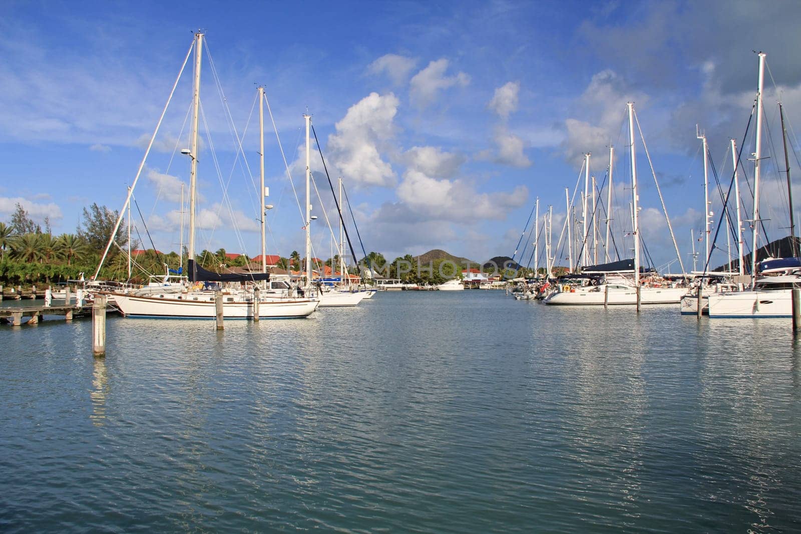 Sailboats docked at Jolly Harbour Marina in Antigua and Barbuda.