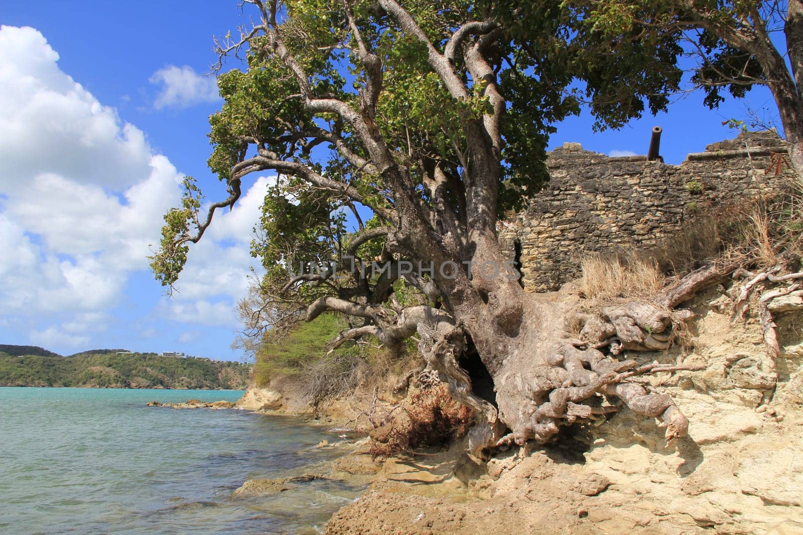 Cannon shown on British Fort James which was built to guard St. John’s Harbour in Antigua and Barbuda in the Caribbean.