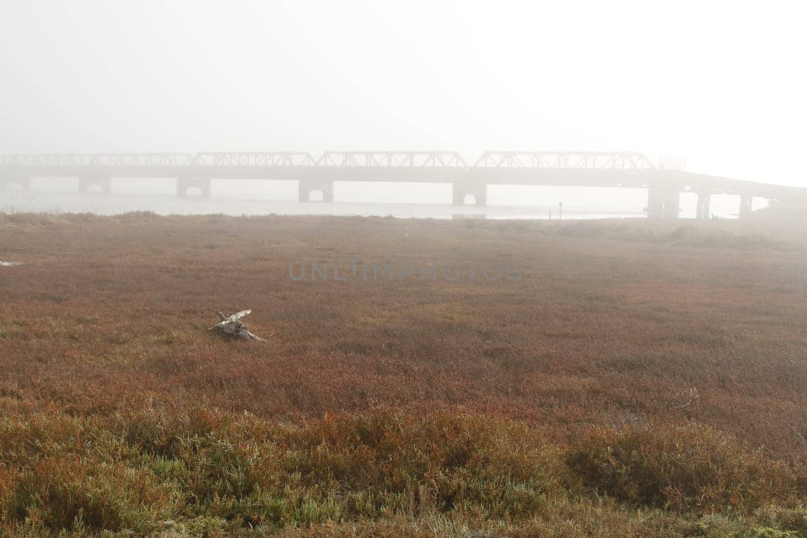 Industrial zone - water pipelinew