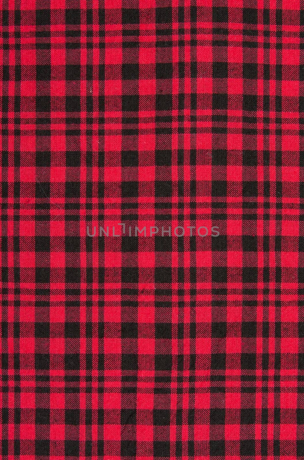 The red checkered cloth background.