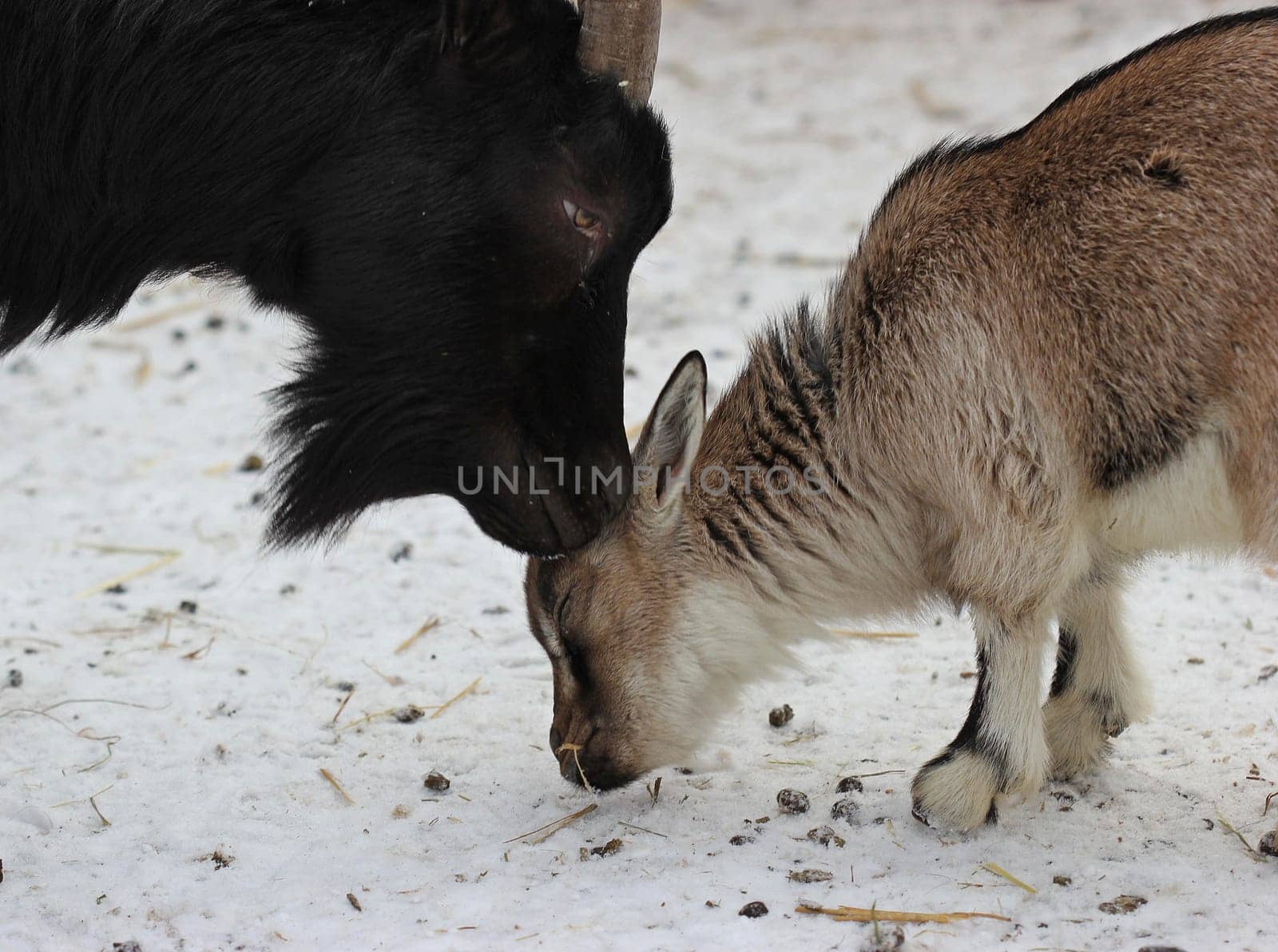 Have you washed your ears too?