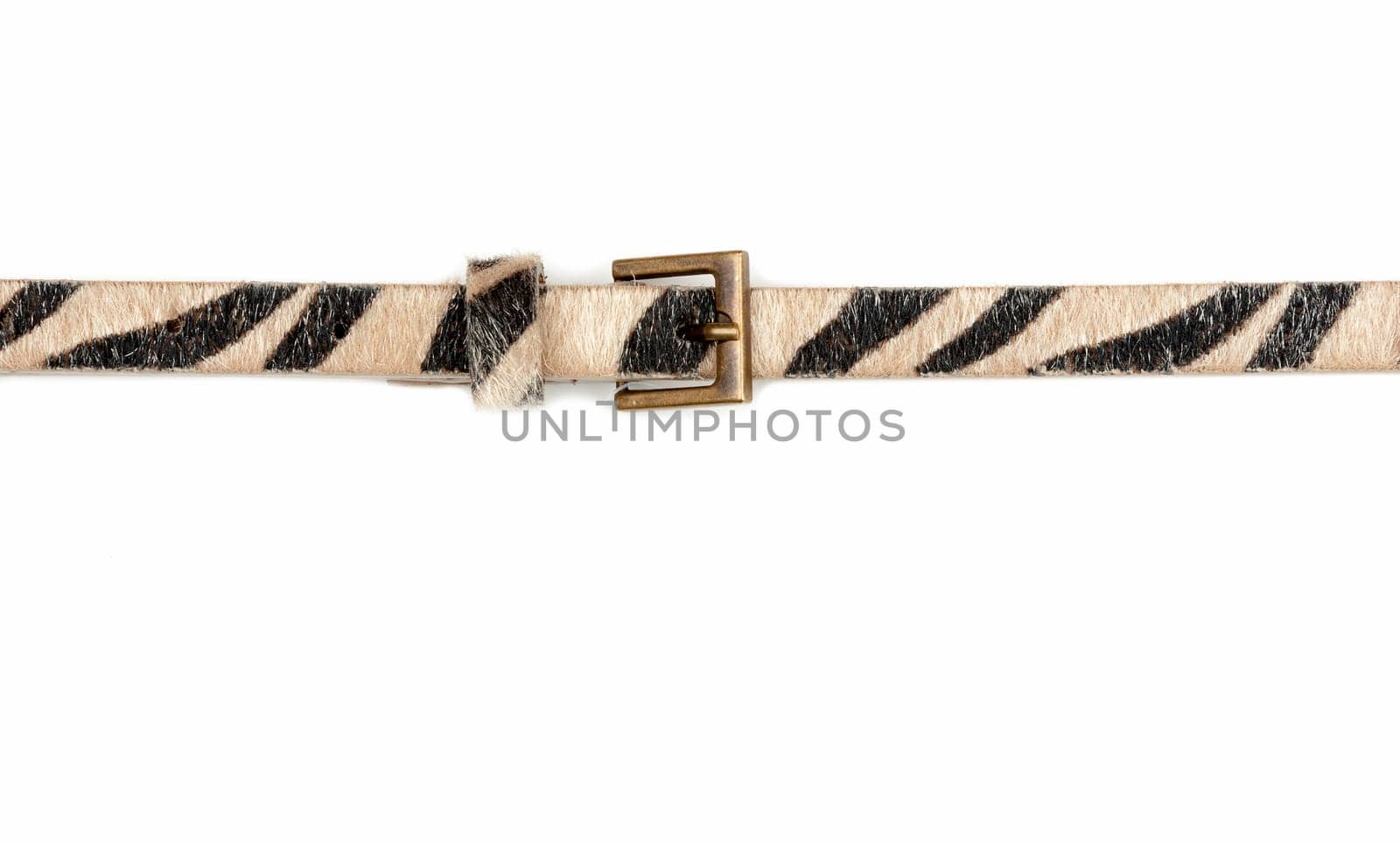 Female leopard belt isolated on white background