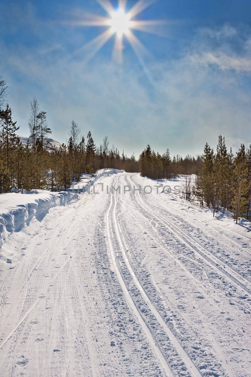 empty trails for cross-country skiing and winter sun