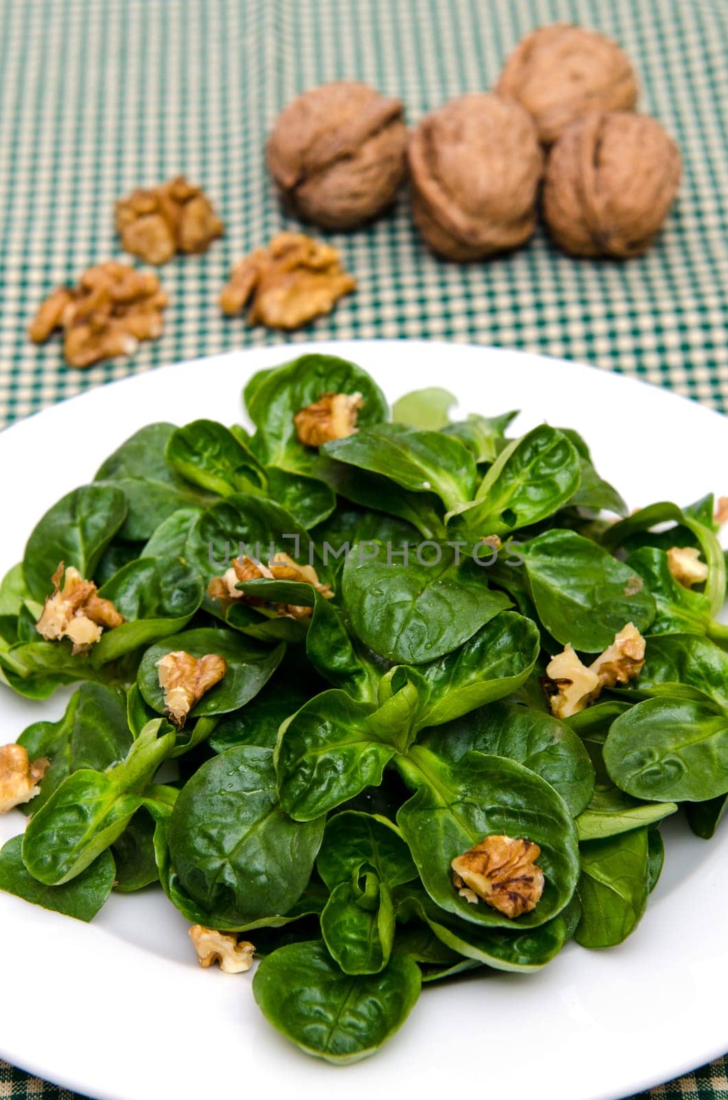 Green lamb's lettuce with walnuts on a white plate