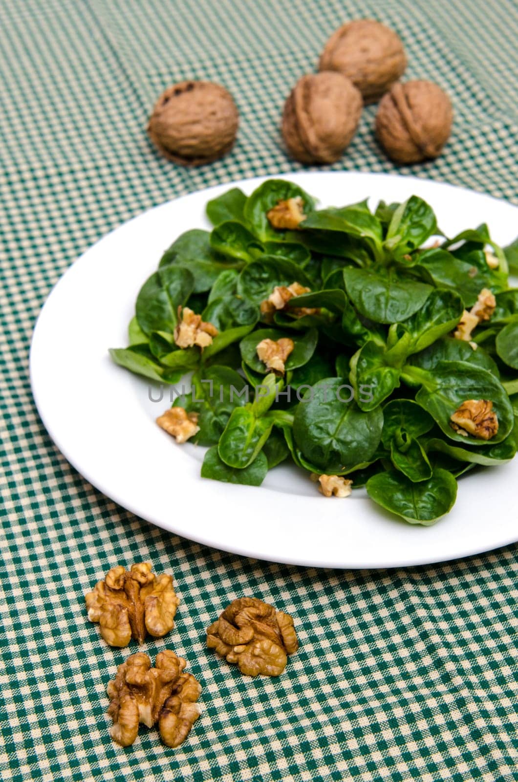 Walnuts on a green lamb's lettuce on a tablecloth