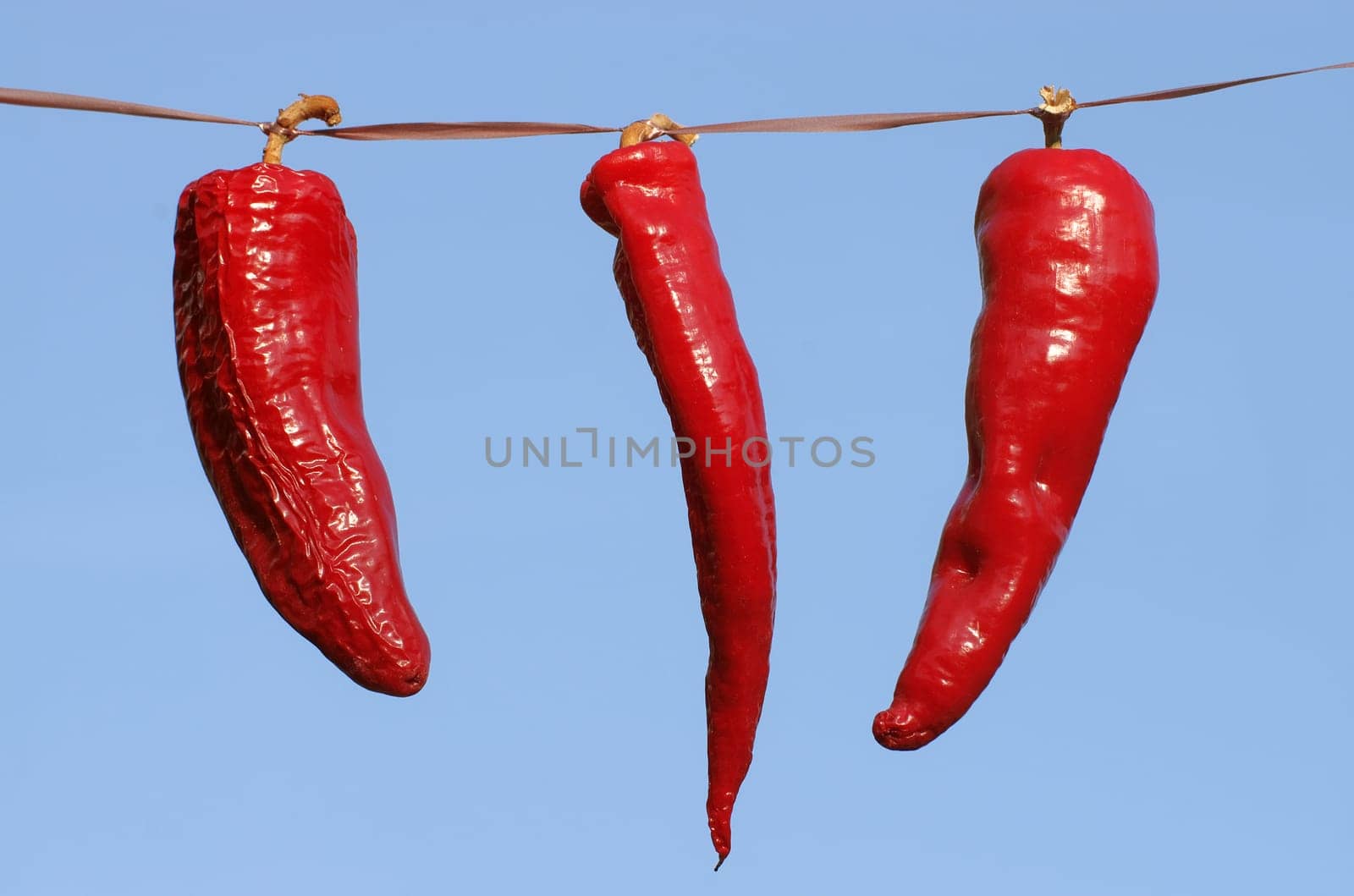 Chilli