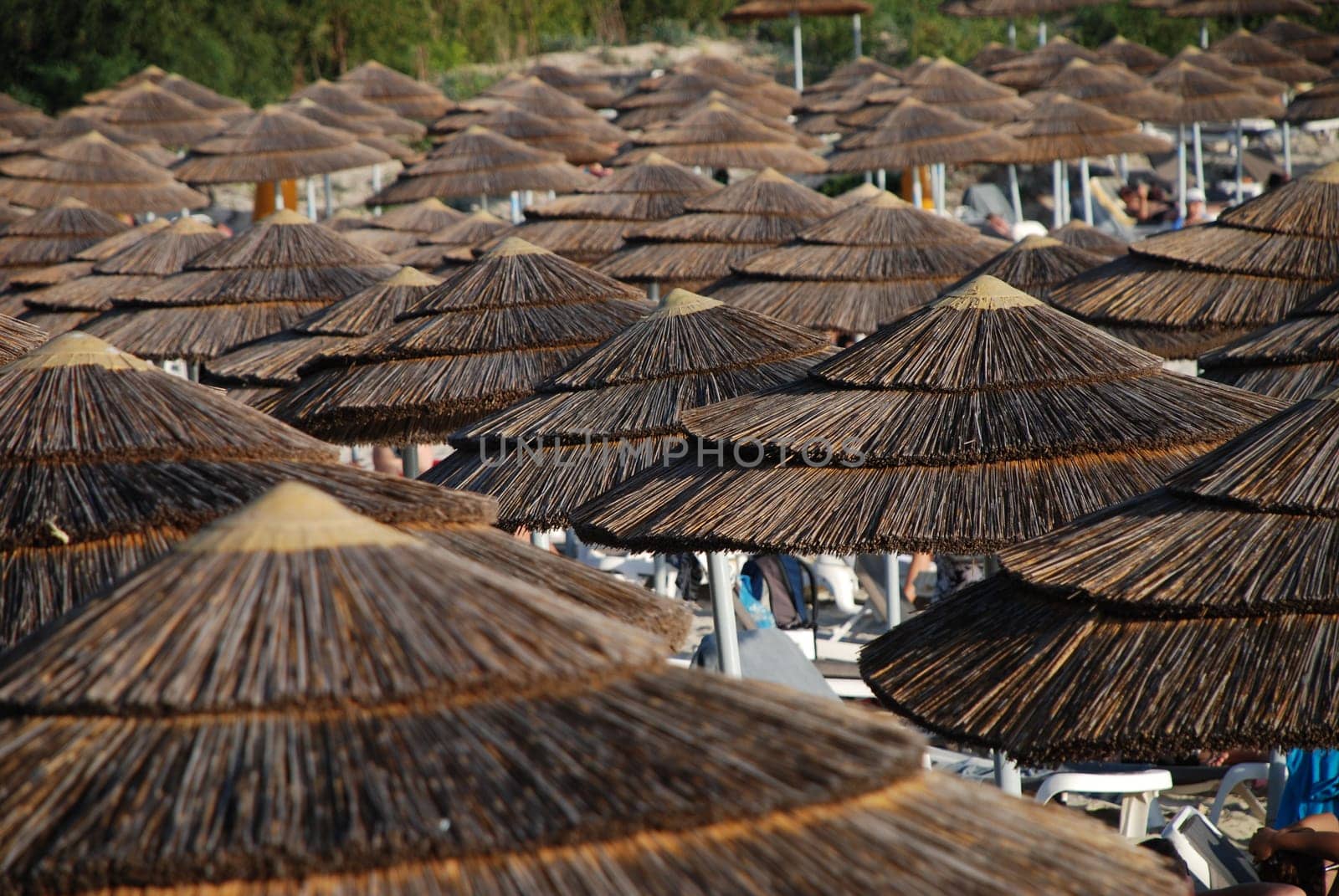 Beach umbrellas