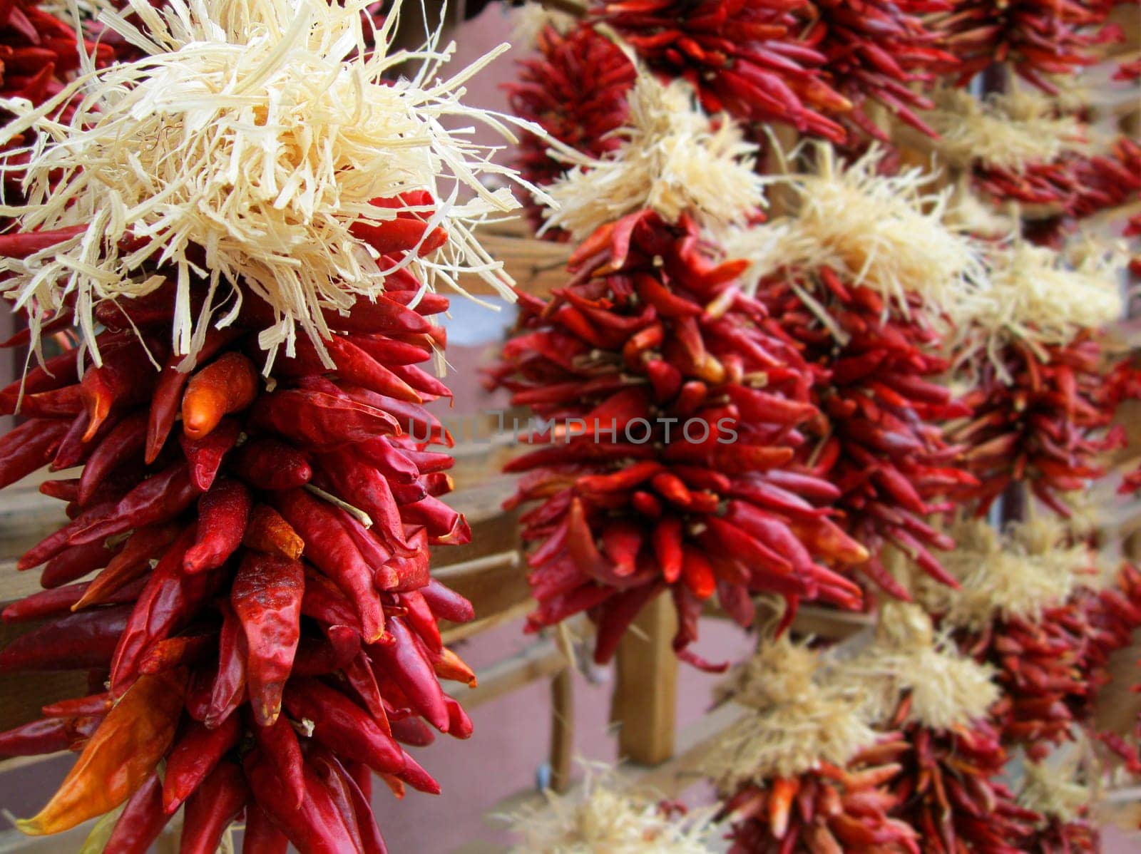 Dried chili peppers hanging on a market