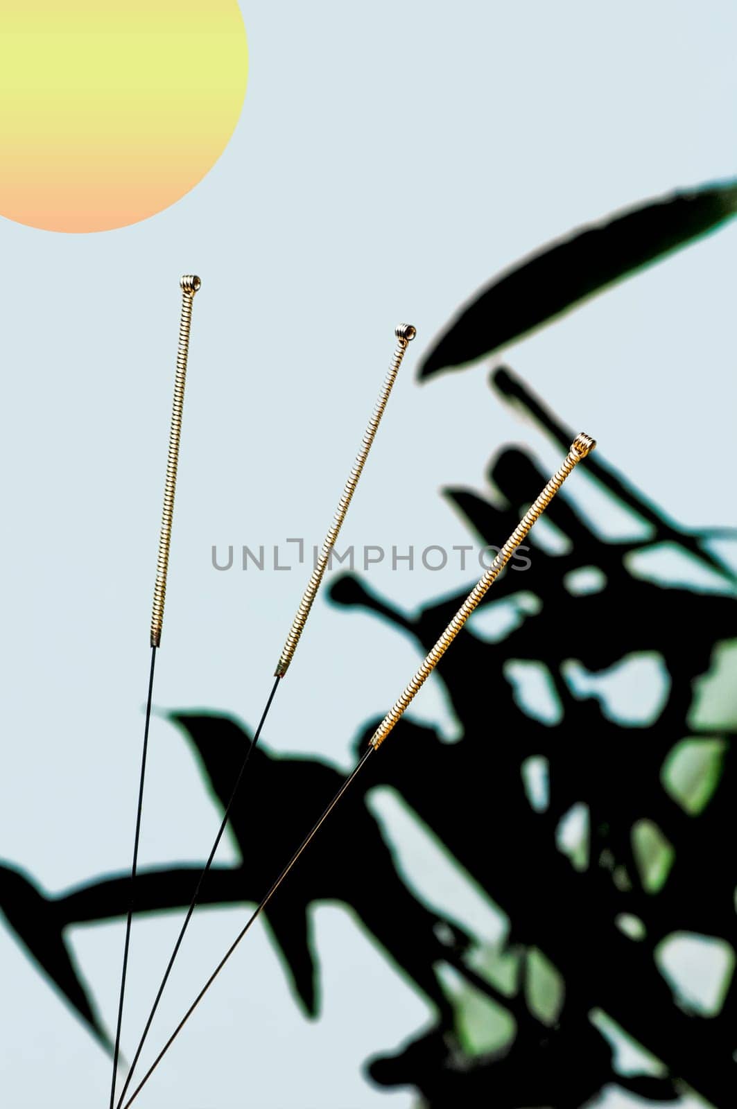 Acupuncture Needle