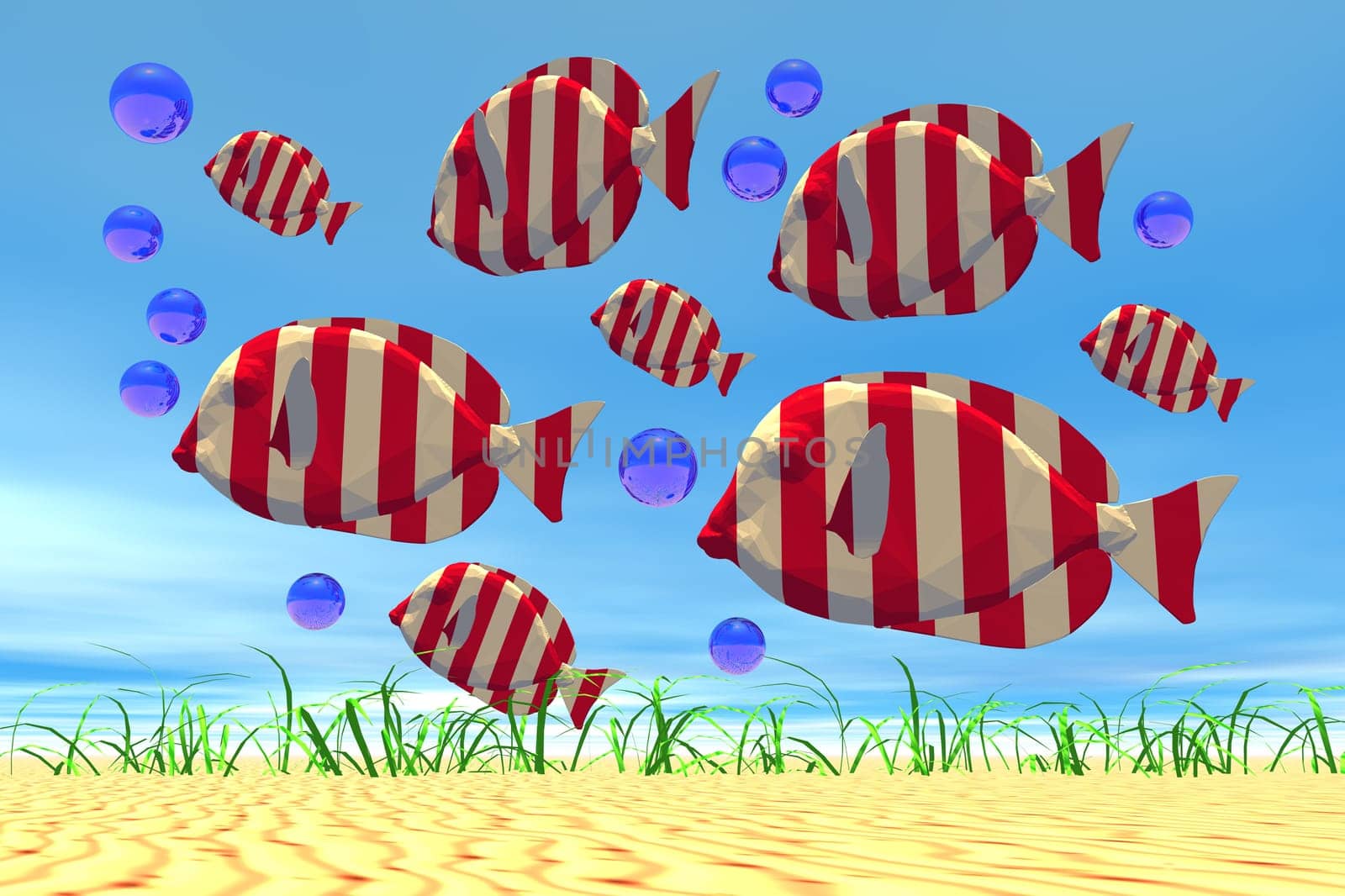 colorful fish