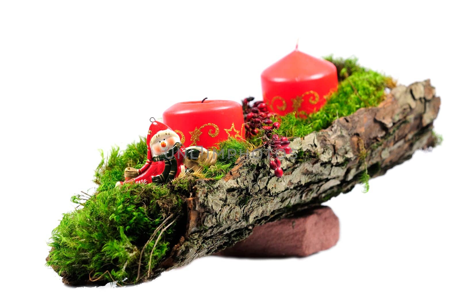 Moss Arrangement