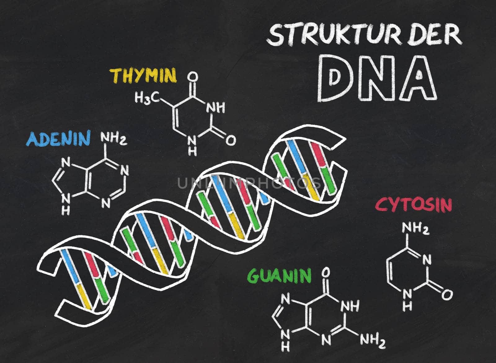 Structure of DNA from a slate