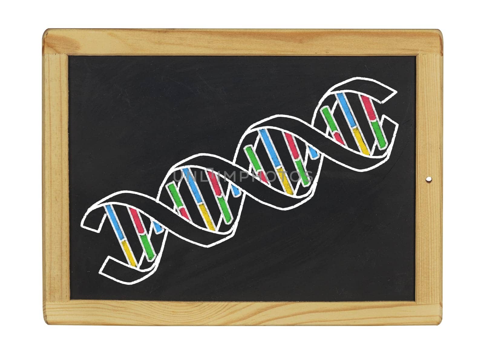 Structure of DNA from a slate