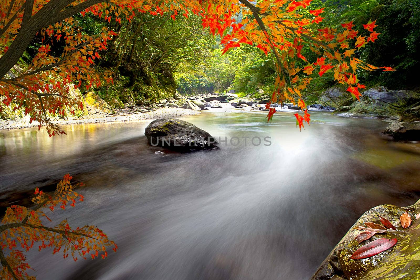 Maple River for adv or others purpose use