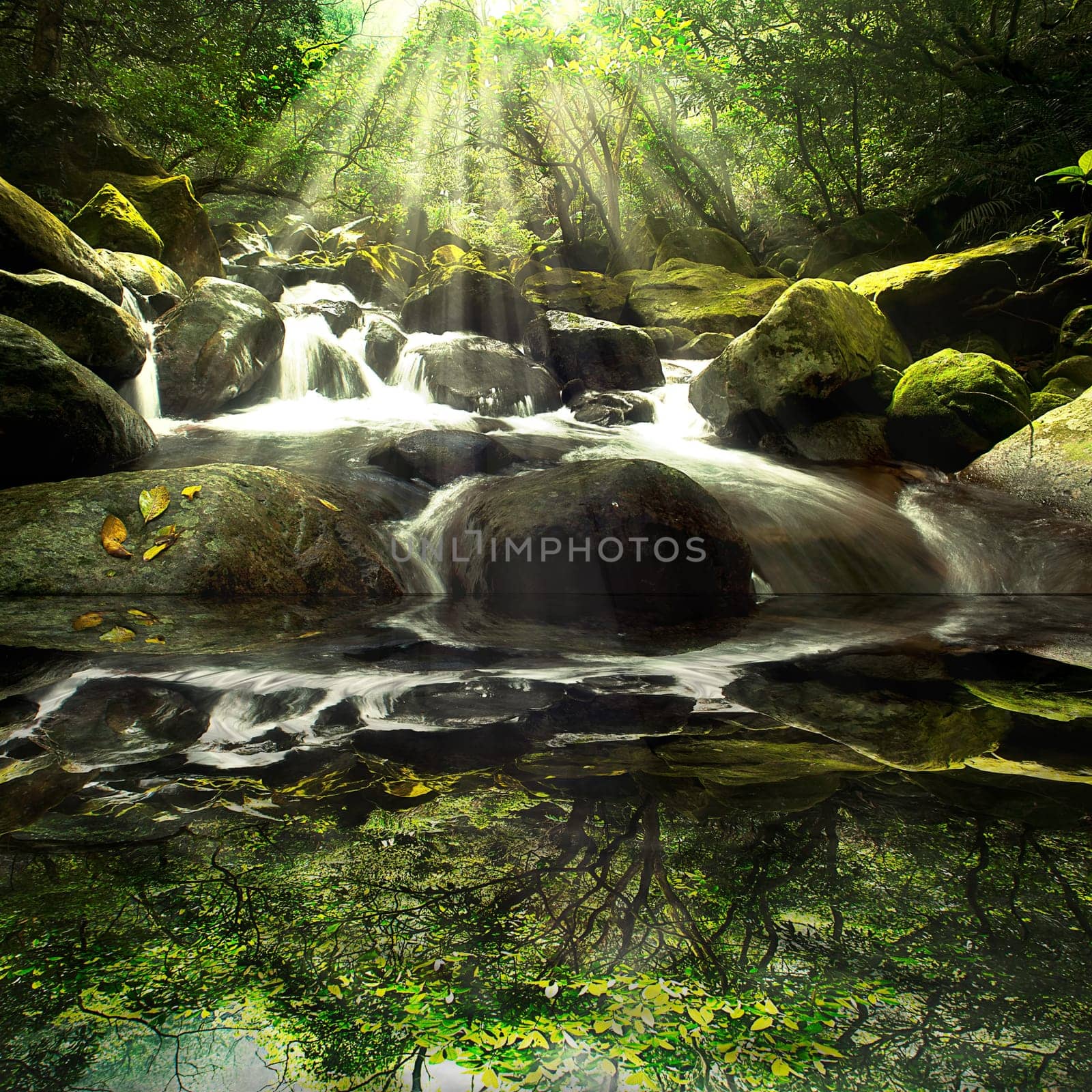 Cascade falls over old plum river with rocks