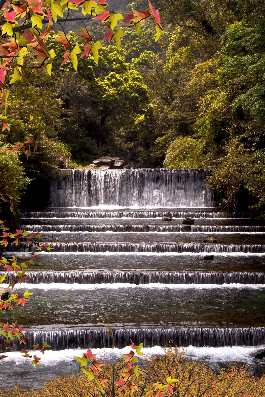 Maple River for adv or others purpose use