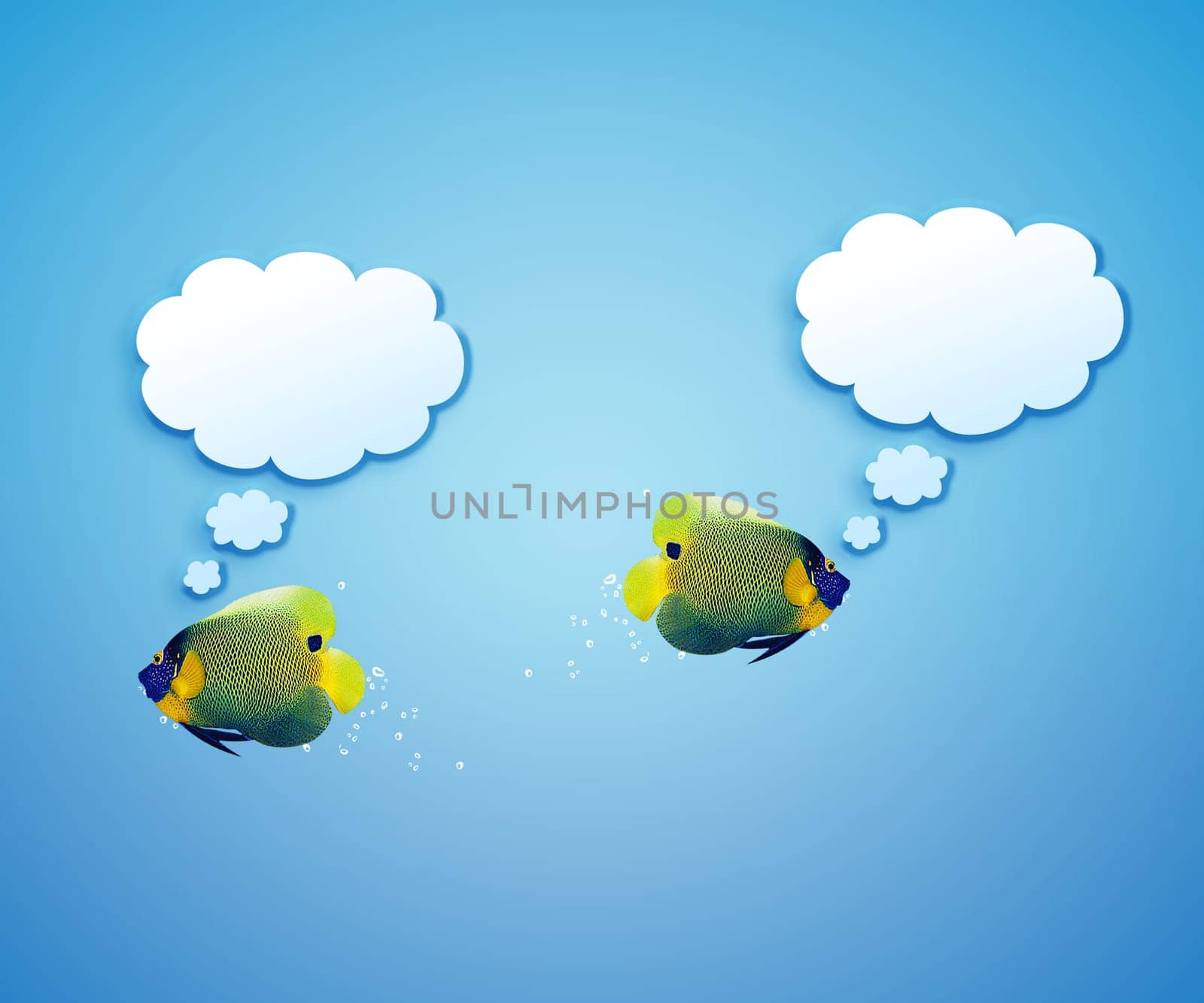 angelfish faces as social network with speech bubbles.