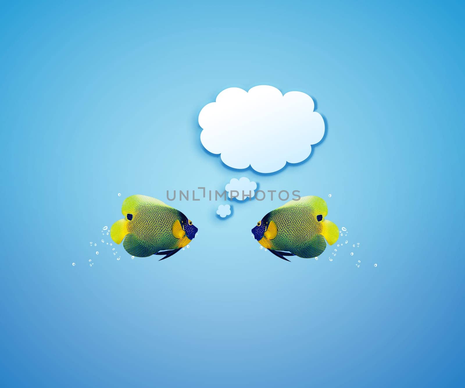 angelfish faces as social network with speech bubbles.