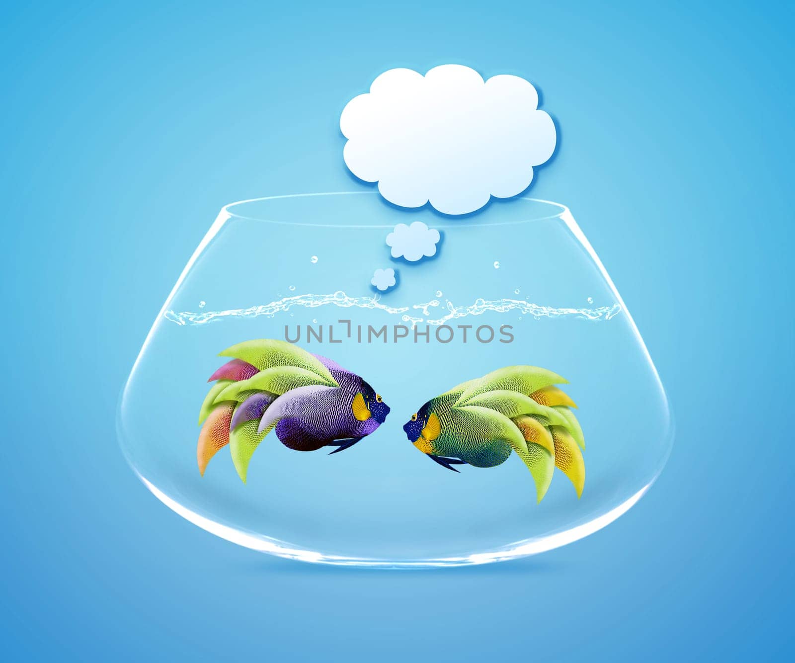 angelfish faces as social network with speech bubbles.