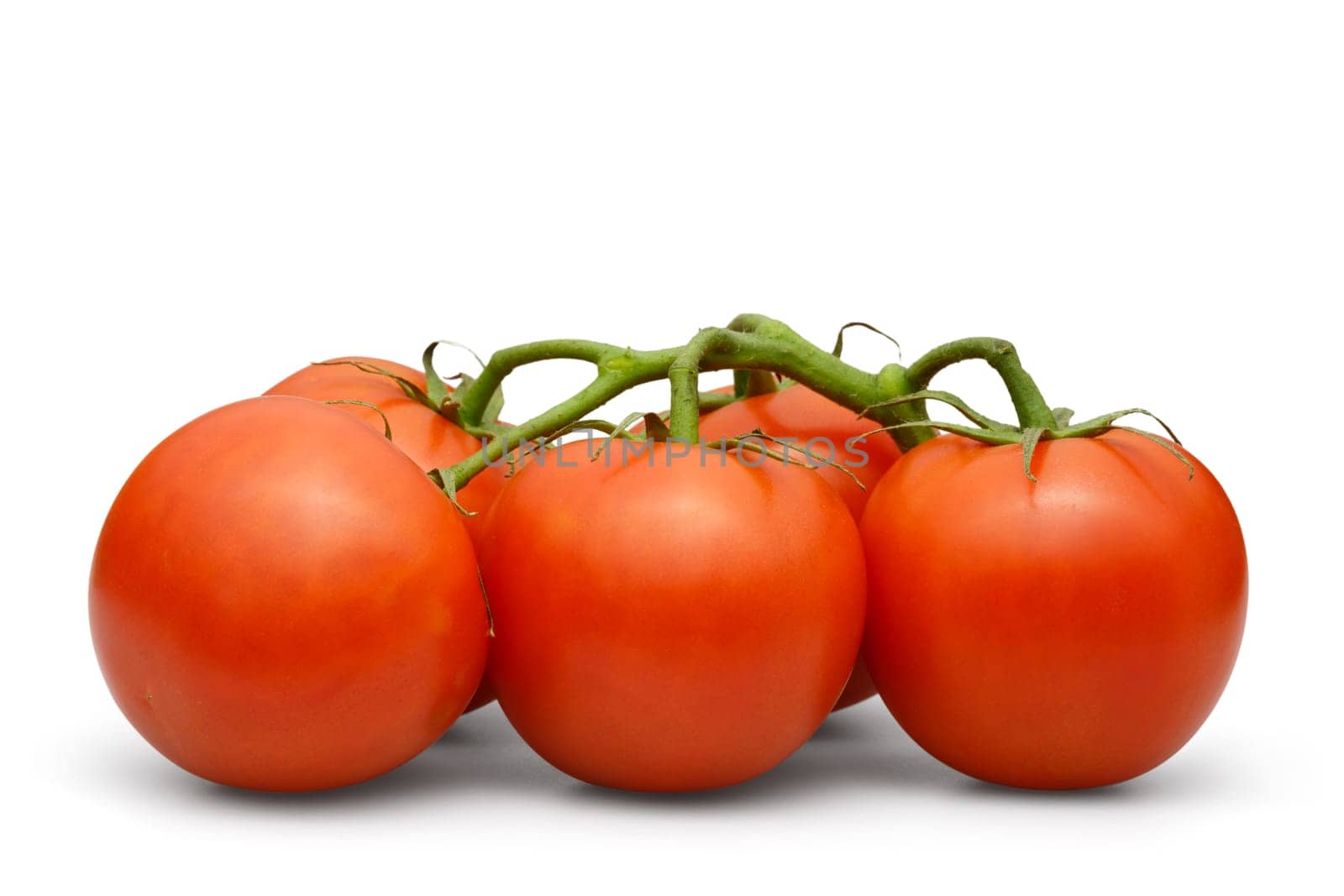 tomato