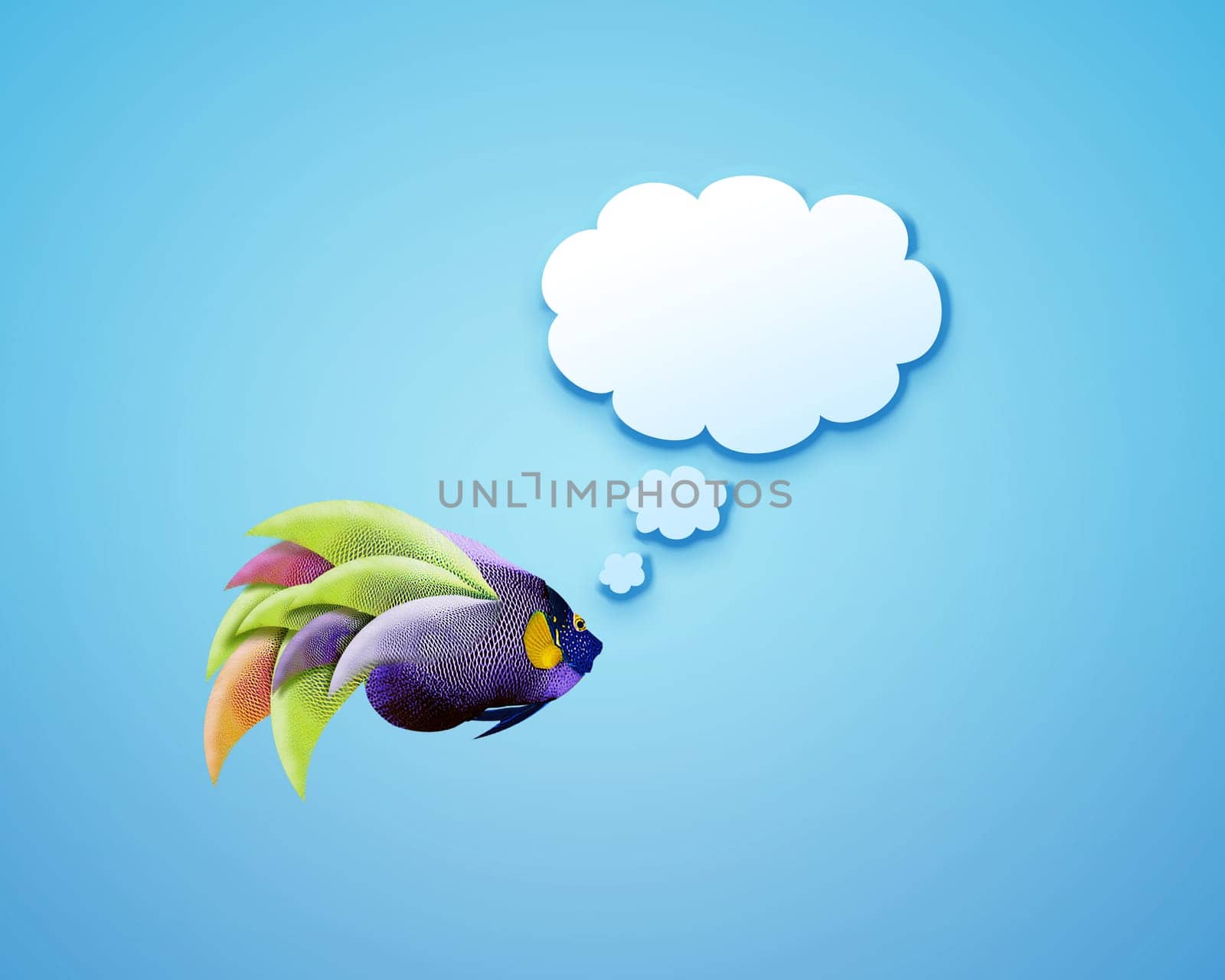 angelfish faces as social network with speech bubbles.
