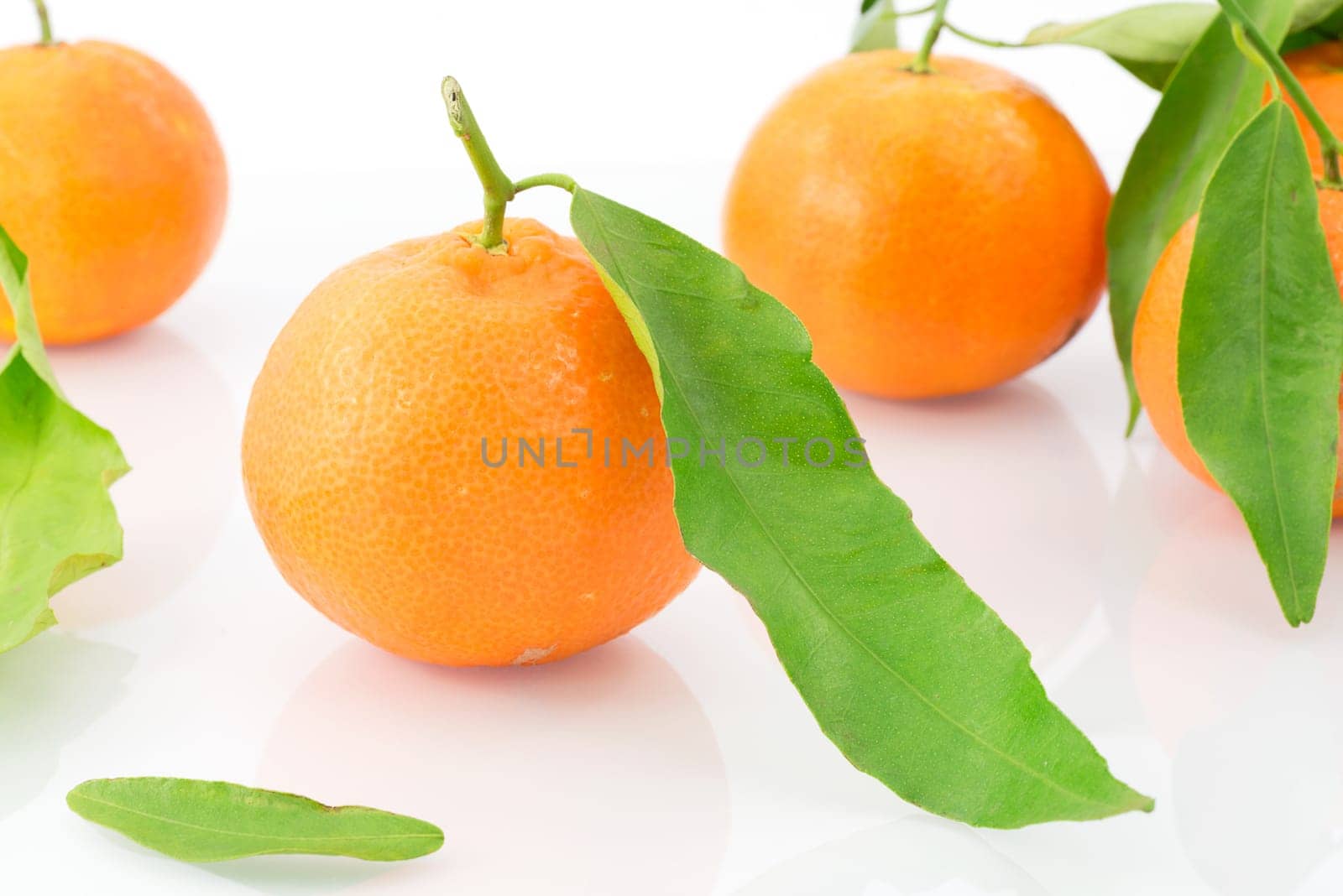 fruit
