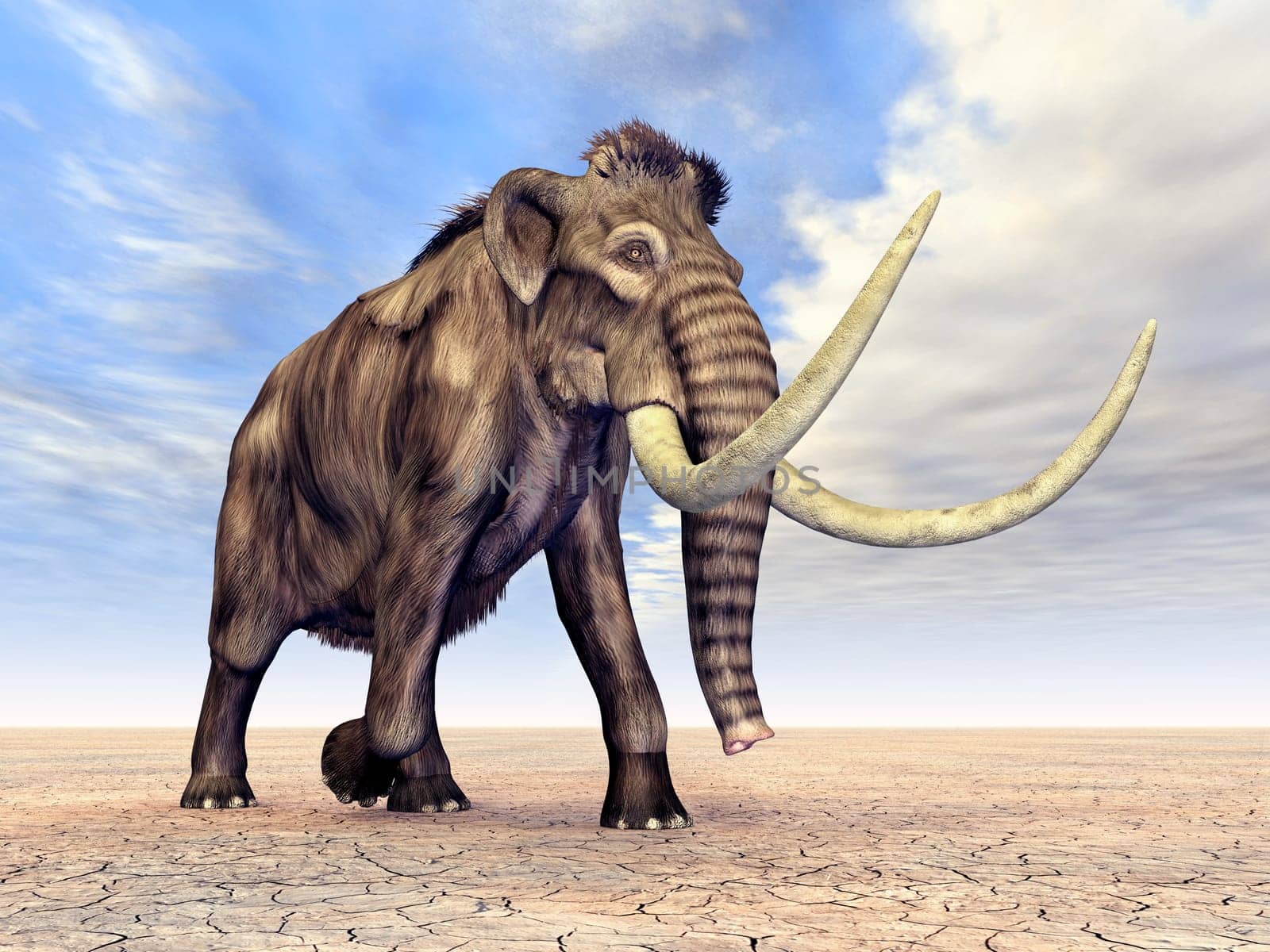 Mammoth