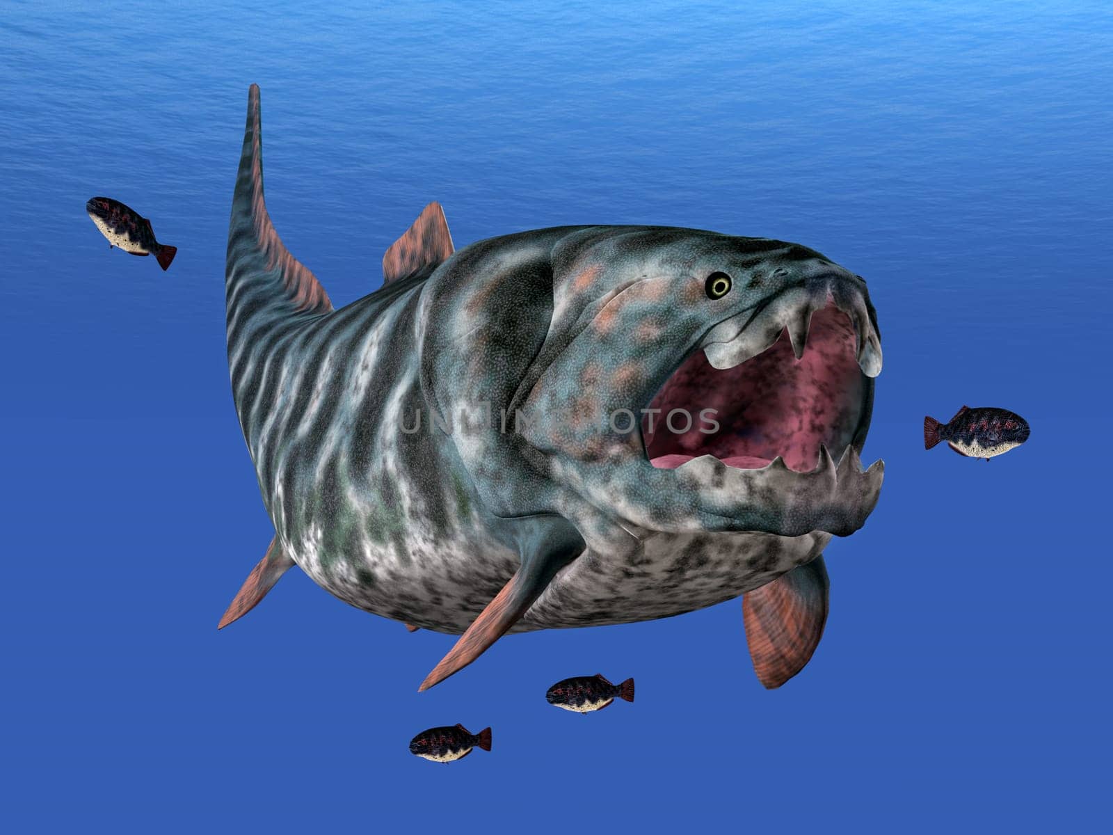Dunkleosteus