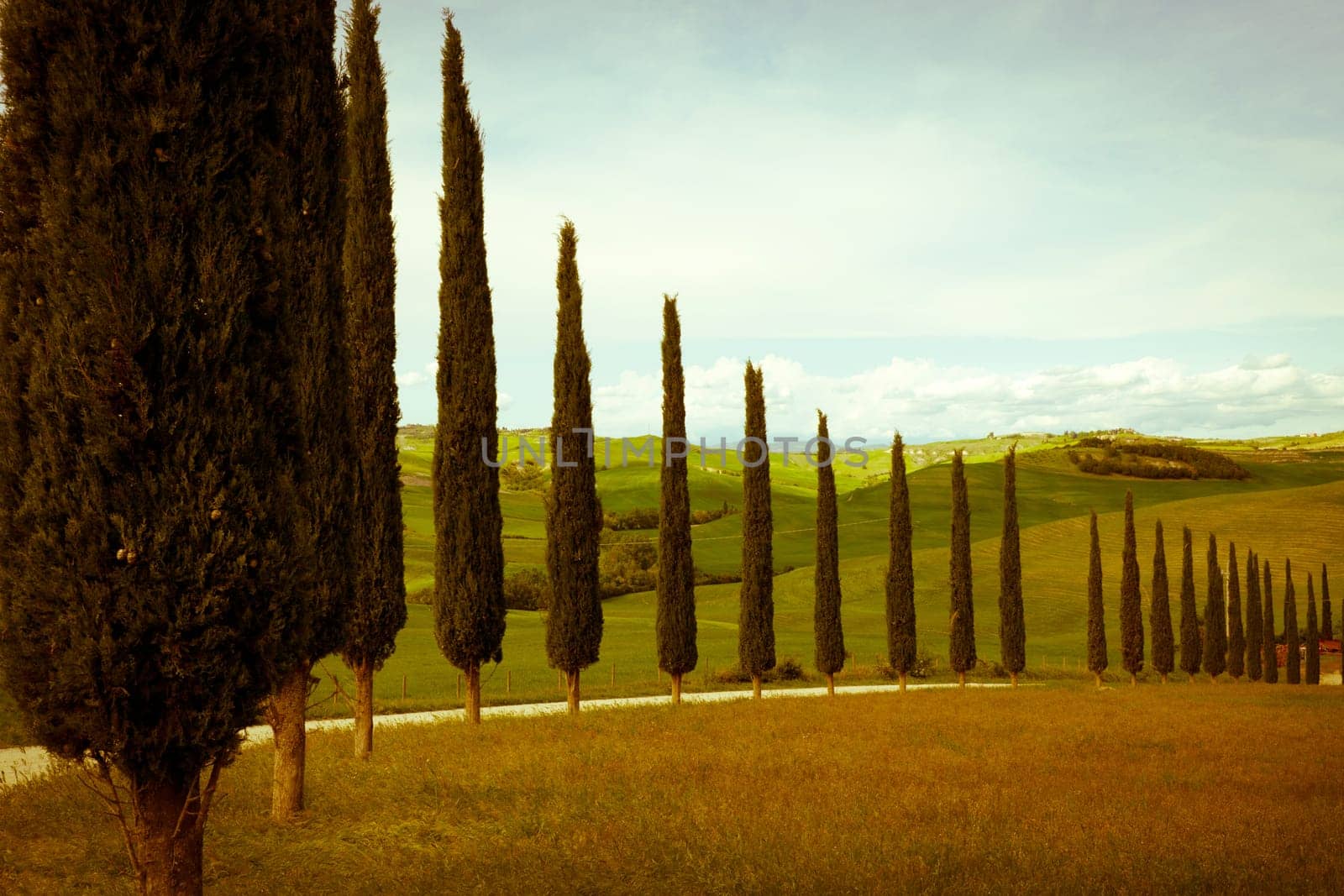 typical tuscan countryside with farm and meadow