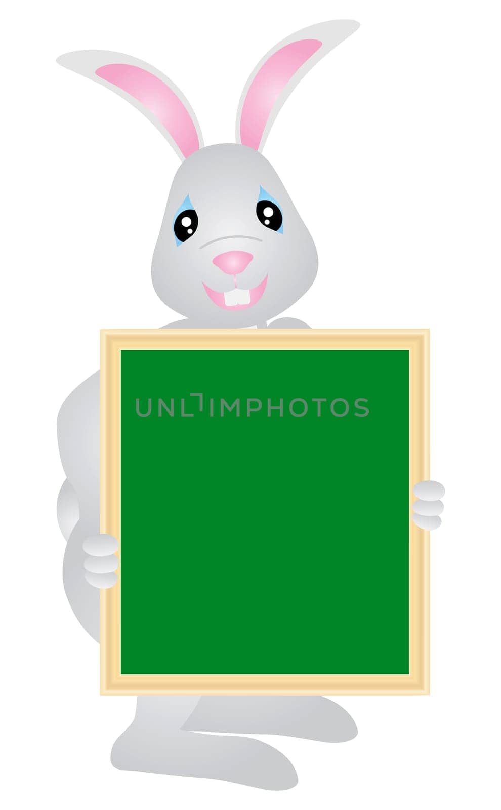 Easter Bunny Rabbit Holding Blank Sign Board Illustration on White Background