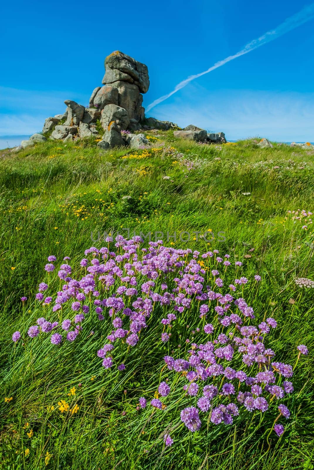Brehat island in brittany cotes d armor France