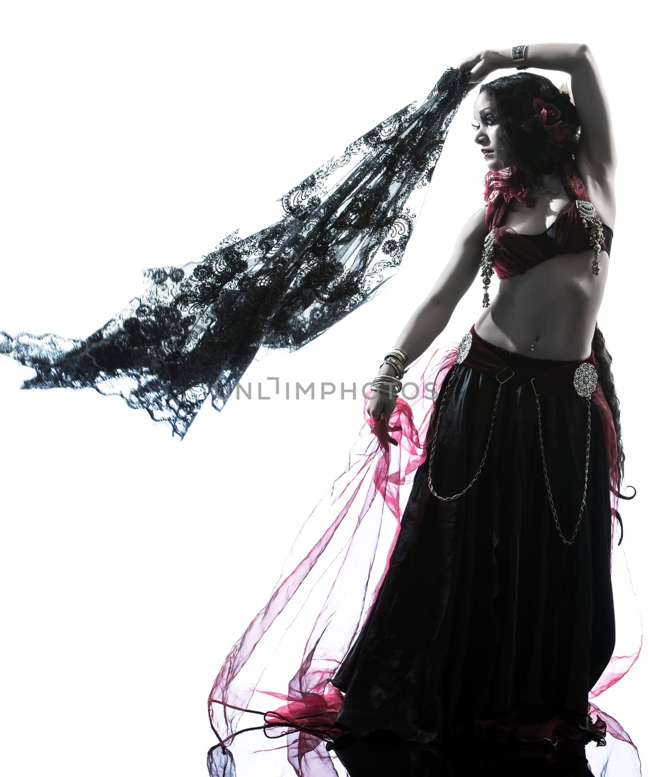 one arabic woman belly dancer dancing silhouette studio isolated on white background