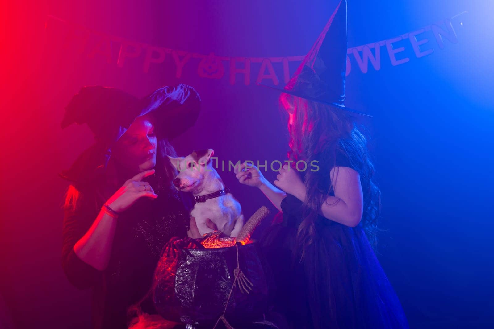 Funny child girl and woman in witches costumes for Halloween with dog. by Satura86