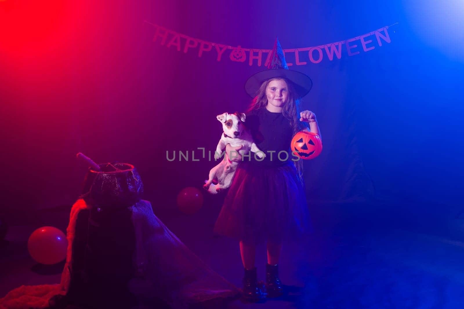 Funny child girl in witch costume for Halloween with pumpkin Jack and dog