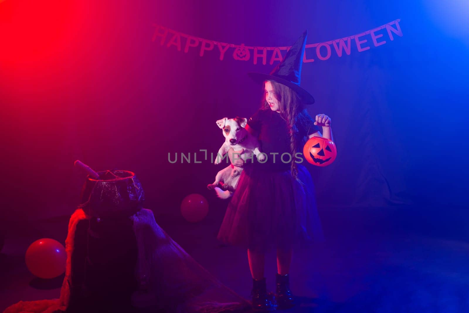 Funny child girl in witch costume for Halloween with pumpkin Jack and dog. by Satura86